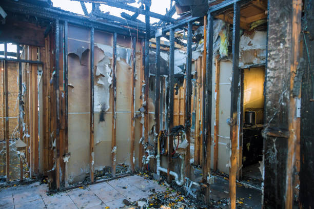 Professional Smoke Damage Removal technician working in Prospect Park, PA