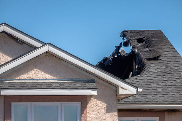 Top rated local Smoke Damage Removal specialists in Prospect Park, PA